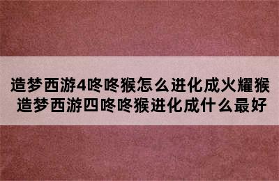 造梦西游4咚咚猴怎么进化成火耀猴 造梦西游四咚咚猴进化成什么最好